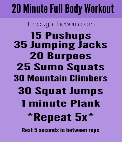 20 Minute Full Body Workout
